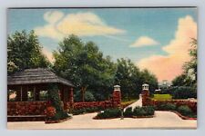 Boulder CO-Colorado, Chautauqua Grounds, Scenic View, Vintage Souvenir Postcard picture