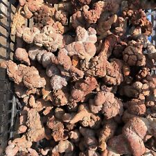 10kg Rare Dinosaur Coprolite Dung Poop Rough Mineral Specimen Madagascar picture