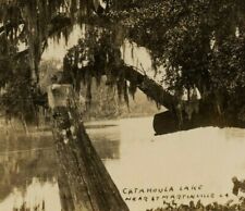 1920s Lake Catahoula RPPC Postcard St Martinville Louisiana Spanish Moss Swamp  picture