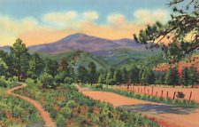 Ruidoso NM New Mexico, White Mountain Sierra Blanca, Vintage Postcard picture