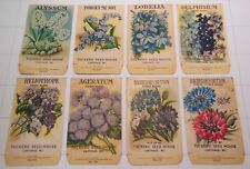 8 Vintage FLOWER SEED PACKETS (G5)-Galloway Litho Co-2 3/4