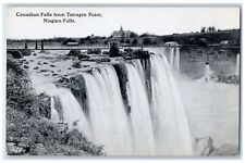 c1910 Canadian Falls Terrapin Point Niagara Falls New York NY Vintage Postcard picture