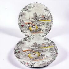Vintage Yorkshire Staffordshire Ironstone England Farm Engraved Plate Dish Set 2 picture