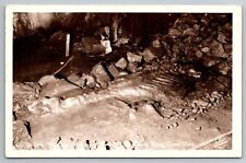 RPPC Sea Lion Mummy In Sea Lion Caves Near Florence Oregon Postcard N657 picture