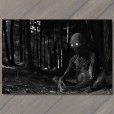 POSTCARD Alien Being Trail Cam Found Weird Scary Eyes Woods Crazy Unusual Creepy picture
