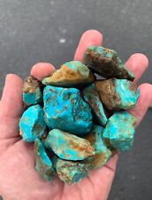 Kaolin Turquoise. 1 pound of variety from Turquoise Mountain. Almost gone. picture