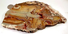 Large Scenic Rhyolite Wonderstone NV 1st Pic Wet 15.2 Ounces  #3147 picture