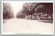 Sturgis MI Michigan Postcard Chicago Street Looking East Residential St. Joseph picture