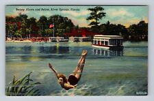 Silver Springs FL- Florida, Beauty Above And Below, Antique, Vintage Postcard picture