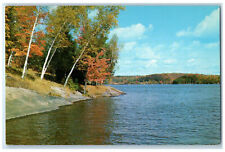 c1960's River Scene Lake of the Woods Kenora Canada Vintage Unposted Postcard picture