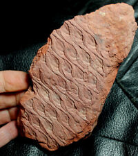Beautiful, big fossil bark - Lepidodendron aculeatum - Excellent details picture