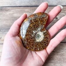 Whole Ammonite Fossil Polished; 106 g Authentic Real picture