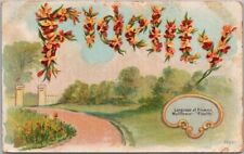 Vintage LANGUAGE OF FLOWERS Romance Postcard 