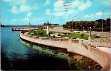 Tampa FL Florida Bayshore Drive 50s Cars Columbus Statue Bridge Vintage Postcard picture