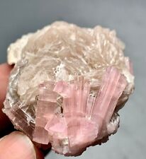 250 Cts  Top Quality Pink Tourmaline Crystals Bunch Specimen from Afghanistan picture