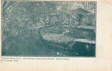 NEWARK VALLEY NY – Squash Island Newark Valley Trout Ponds – udb (pre 1908) picture