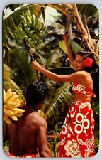 Postcard Gathering Bananas Hawaii Unposted picture