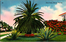 Vintage 1940's Home Landscaping With Date Palm Miami Florida FL Postcard picture