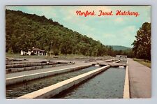Norfork AR-Arkansas, Norfork National Fish Hatchery, Antique Vintage Postcard picture