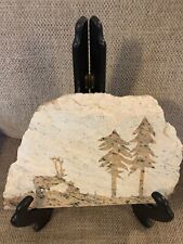 Etched slab stone forest woodlands Scene deer elk fawn trees 11x8” picture