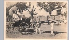 MOM & GIRL MULE CARRIAGE real photo postcard rppc antique street scene parasol picture