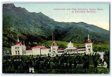 c1910's Herbarium And Fish Hatchery Building Butte Montana MT Unposted Postcard picture