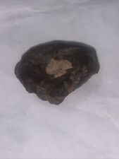 iron meteorites for sale picture