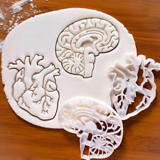  Plastic Brain Heart Biscuit Abrasives White Baking Tools Organ Biscuit  picture