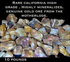 5LB HIGH GRADE HIGHLY MINERALIZED GOLD ORE W/VISIBLE GOLD FROM THE MOTHERLODE picture