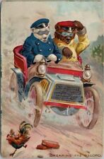 Vintage 1910s Tuck's LITTLE BEARS Embossed Postcard 