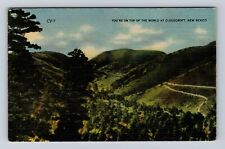 Cloudcroft NM- New Mexico, Aerial Of Forest Area, Antique, Vintage Postcard picture