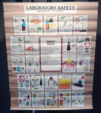 Denoyer Geppert Laboratory Safety Rules Chemistry Biology Poster Chart 32 x 44 picture