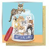 Antidepressant Cats Greeting Card picture