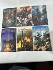 Cloud 9 Comics Birthright Issues 1-20 In Great Condition  All In  Sleeves picture
