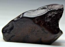 Genuine Meteorite Iron Meteorite Chondrite Unidentified Meteorite Nugget 12.5 CT picture