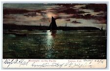 1906 Moonlight Pacific Night Venice Pomona California CA Antique Eagle Postcard picture