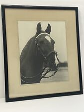 WOW Antique Framed Beautiful Horse Photo Picture Black & White 12.5” X 14.75” picture