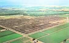 Greeley CO Colorado Monfort Cattle Gilcrest Feedlot Weld County Vtg Postcard E35 picture