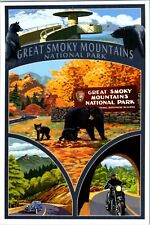 Great Smoky Mountains National Park Tennessee Scenic Montage bear postcard picture