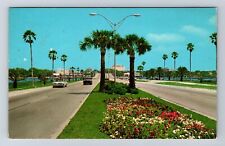 Clearwater FL-Florida, Flowers and Palm Lined Causeway, Vintage Postcard picture