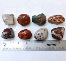 8 Michigan Rocks Sampler Great Lakes Petoskey Stone, Prehnite, Banded Chert.... picture