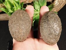 Larger Moqui Marble or Shaman Stone PAIR 100% Natural From Utah 255gr picture