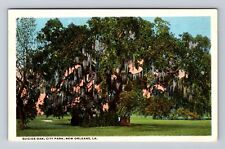 New Orleans LA-Louisiana, City Park Suicide Oak, Antique Vintage Postcard picture
