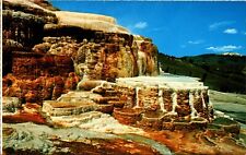 Postcard Minerva Terrace, Algae Covered Mounds Travertine, Yellowstone NP, WY picture