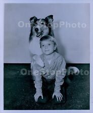 1957 Jon Provost & Legendary Canine LASSIE Press Photo picture