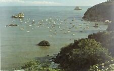 Fishing Fleet in Trinidad Bay, Calif. Vintage Postcard P69 picture