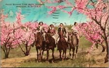 Postcard Peach Blossom Time In The Sandhills Pinehurst NC picture