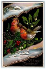1914 Christmas Birds Holly Berries Winter Snow Gel Gold Gilt Embossed Postcard picture