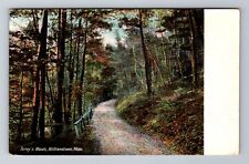 Williamstown MA-Massachusetts, Torrey's Woods, Antique Souvenir Vintage Postcard picture