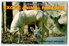 c1960's Buena Vista's Exotic Animal Paradise Springfield Missouri MO Postcard picture